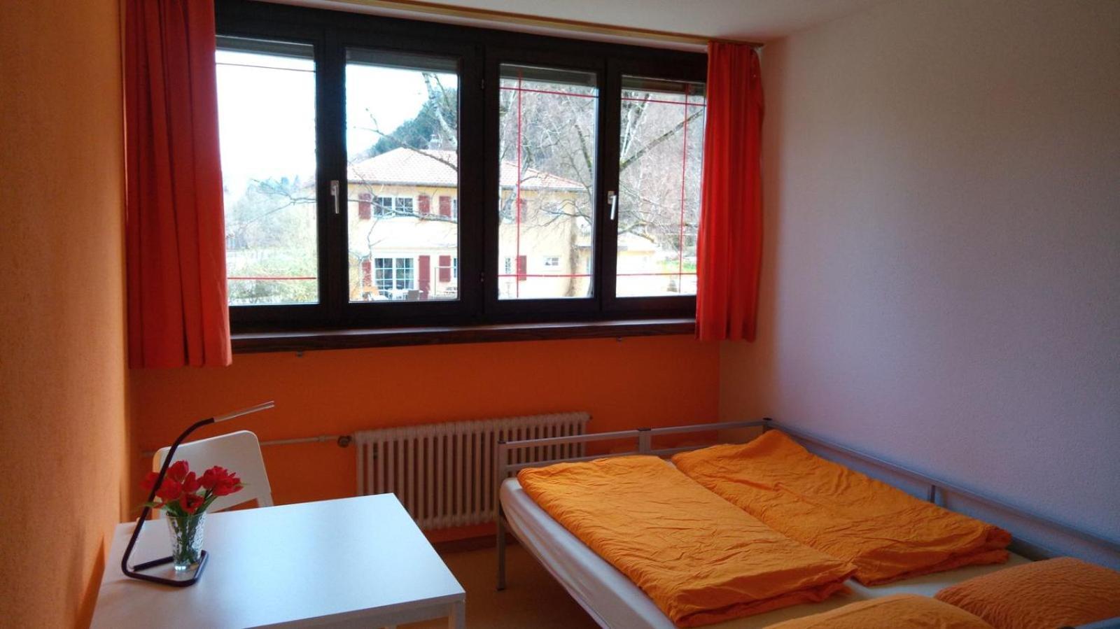 Waldblick